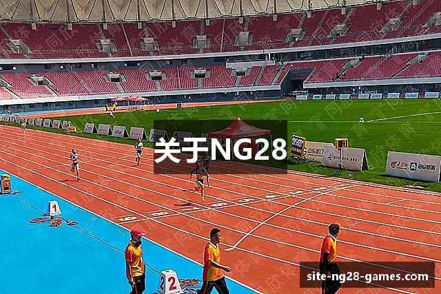 关于NG28